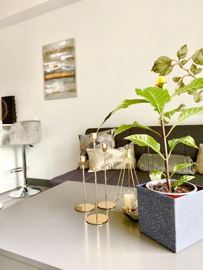 Comodo Y Elegante Apartamento En Fabuloso Condo! San José Zewnętrze zdjęcie