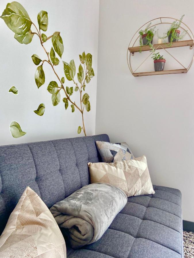 Comodo Y Elegante Apartamento En Fabuloso Condo! San José Zewnętrze zdjęcie