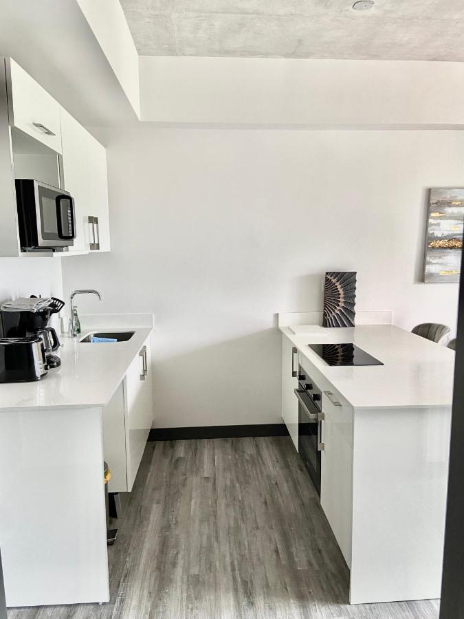 Comodo Y Elegante Apartamento En Fabuloso Condo! San José Zewnętrze zdjęcie