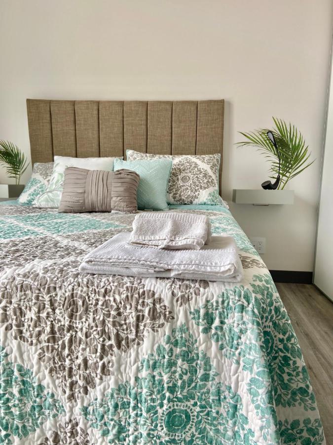 Comodo Y Elegante Apartamento En Fabuloso Condo! San José Zewnętrze zdjęcie