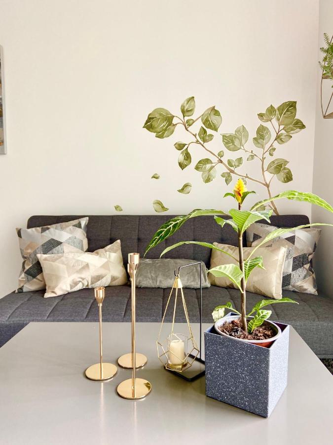 Comodo Y Elegante Apartamento En Fabuloso Condo! San José Zewnętrze zdjęcie
